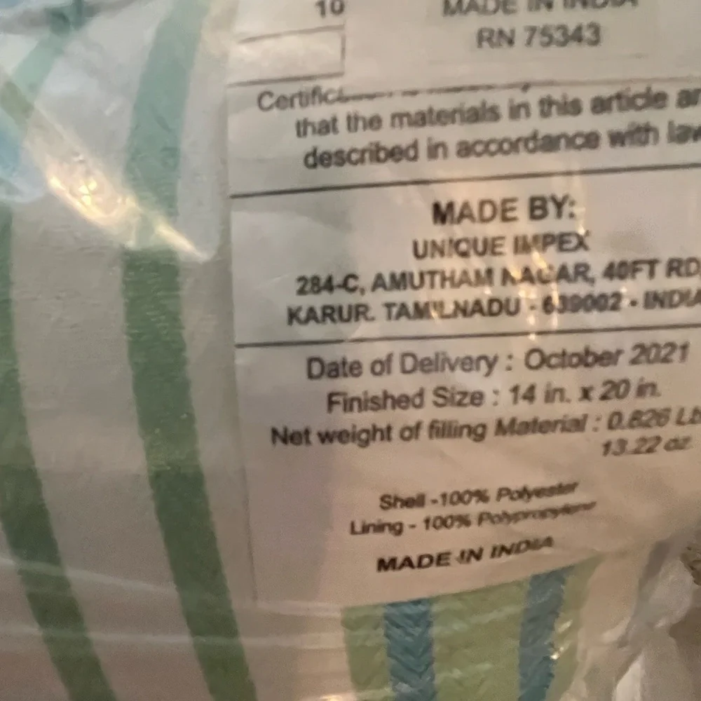 NWT Unique Impex Indoor Outdoor Made in India Set of 2 Decorative Pillows